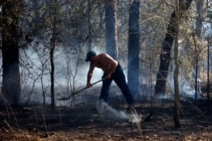 ###Ocala Star-Banner, Grass fire , Silver Springs Shores FL - Contact photographer at 352-598-7976### Silver Springs Shores resident Jamie Spencer(cq) tries to help with the putting out the grass fire near Bahia Court Way and Bahia Road Court, very near the CSX Rail Road tracks, Thursday afternoon, March 2, 2006, Silver Springs Shores, FL. ( Jannet Walsh/Star-Banner)2006