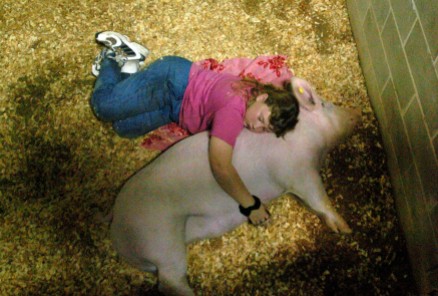 Swine - Southeastern Youth Fair ## Brittany Landers, 10, of Dunnellon, naps with Miss Piggy, a Yorkshire Cross breed gilt, a young female swine, weighing in at 234 pounds, cleaned and ready for the 4-H swine showing at the Southeastern Livestock Pavilion, Wednesday afternoon, Feb. 23, 2005, Ocala, FL. (Jannet Walsh/Star-Banner)2005