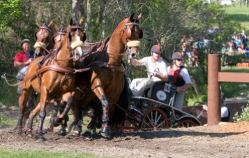 ###Ocala Star-Banner, The LIve Oak International Driving Event at Live Oak Plantation, Ocala, FL - Contact photographer at 352-598-7976### Chester Weber(cq), of Ocala, center in white, with two grooms, goes through Millers'(cq) Crossing, during the Four In Hand competition at The LIve Oak International Driving Event at Live Oak Plantation, Ocala Saturday afternoon, March 19, 2006, Ocala, FL. ( Jannet Walsh/Star-Banner)2006