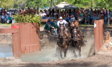 ###Ocala Star-Banner, The LIve Oak International Driving Event at Live Oak Plantation, Ocala, FL - Contact photographer at 352-598-7976### Tucker Johnson(cq), comes out of the water Millers'(cq) Crossing, during the Four In Hand competition at The LIve Oak International Driving Event at Live Oak Plantation, Ocala Saturday afternoon, March 19, 2006, Ocala, FL. ( Jannet Walsh/Star-Banner)2006