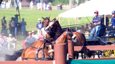 ###Ocala Star-Banner, The LIve Oak International Driving Event at Live Oak Plantation, Ocala, FL - Contact photographer at 352-598-7976### James Fairclough(cq), of Ocala, has trouble with his horses as they wrapped around a post and jumped at Millers'(cq) Crossing, during the Four In Hand competition at The LIve Oak International Driving Event at Live Oak Plantation, Ocala Saturday afternoon, March 19, 2006, Ocala, FL. ( Jannet Walsh/Star-Banner)2006